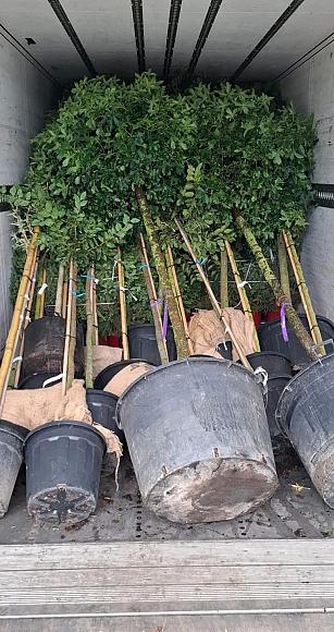 photo 03 12 2025 11 44 55