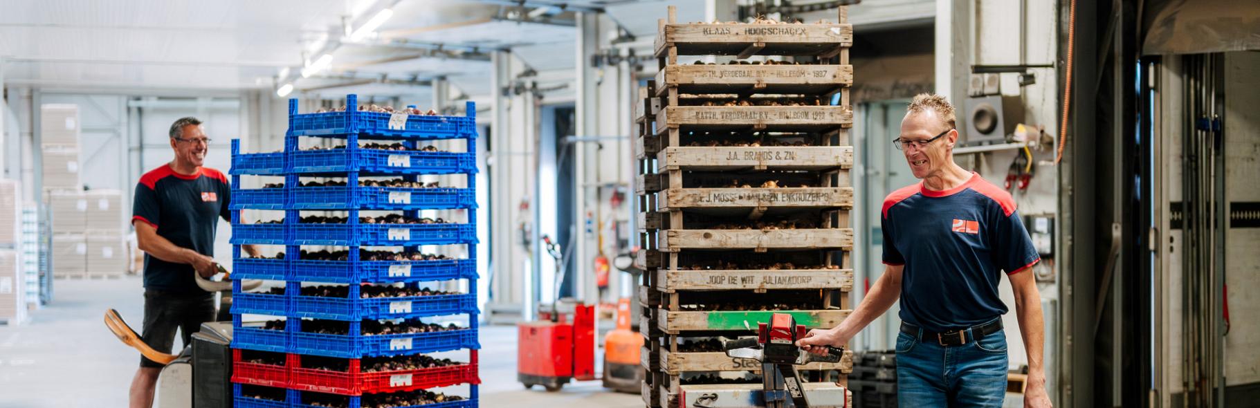 3537 lilian fotografie van dooren transport hillegom fotoshoot 2025 09 19 bewerkt.jpg?1774529760&focus=45.74 39